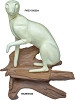 FOX, GRAY LIFESIZE